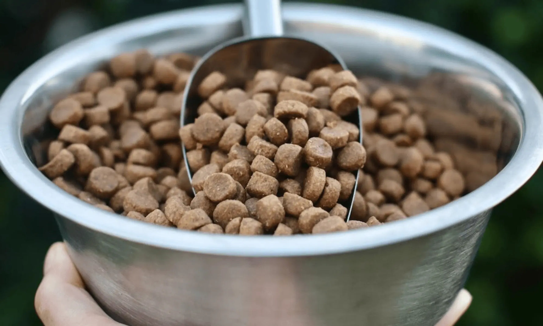 Small Batch Dog Food vs. Mass Produced Dog Food: Why How It’s Made Matters