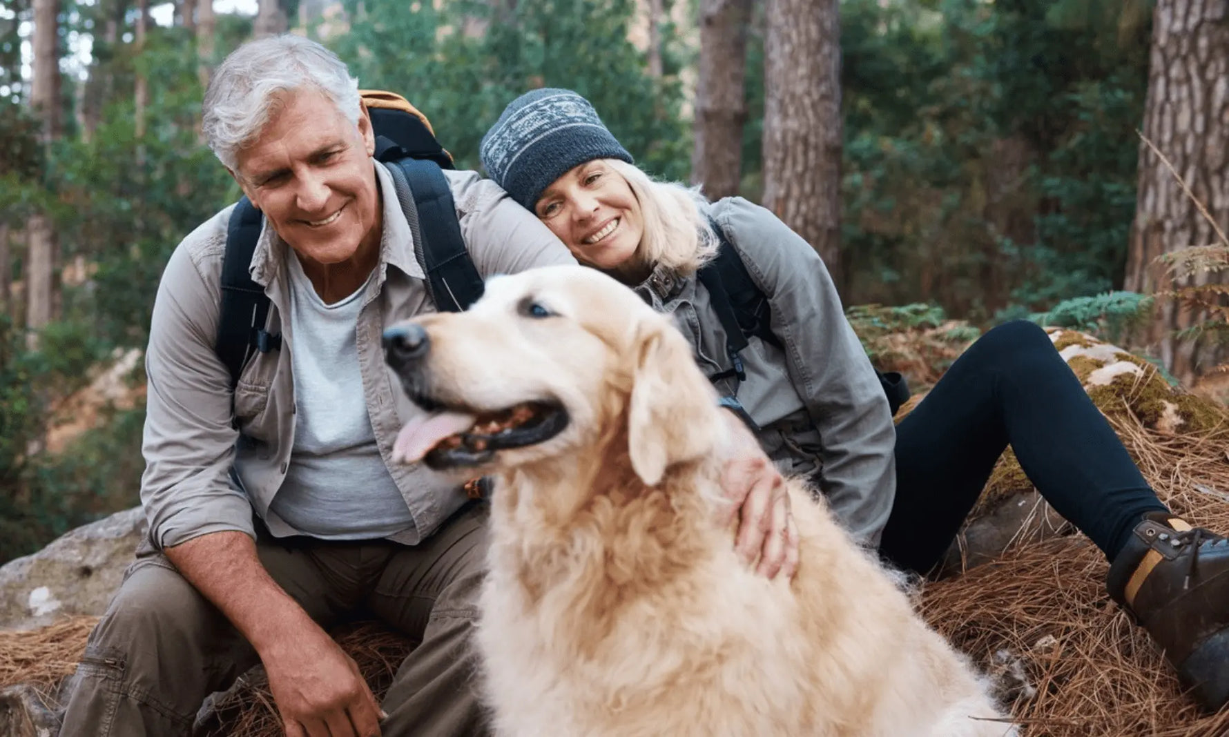 The Best Dog Food Ingredients for Longevity: How Gut Health Supports a Longer, Happier Life