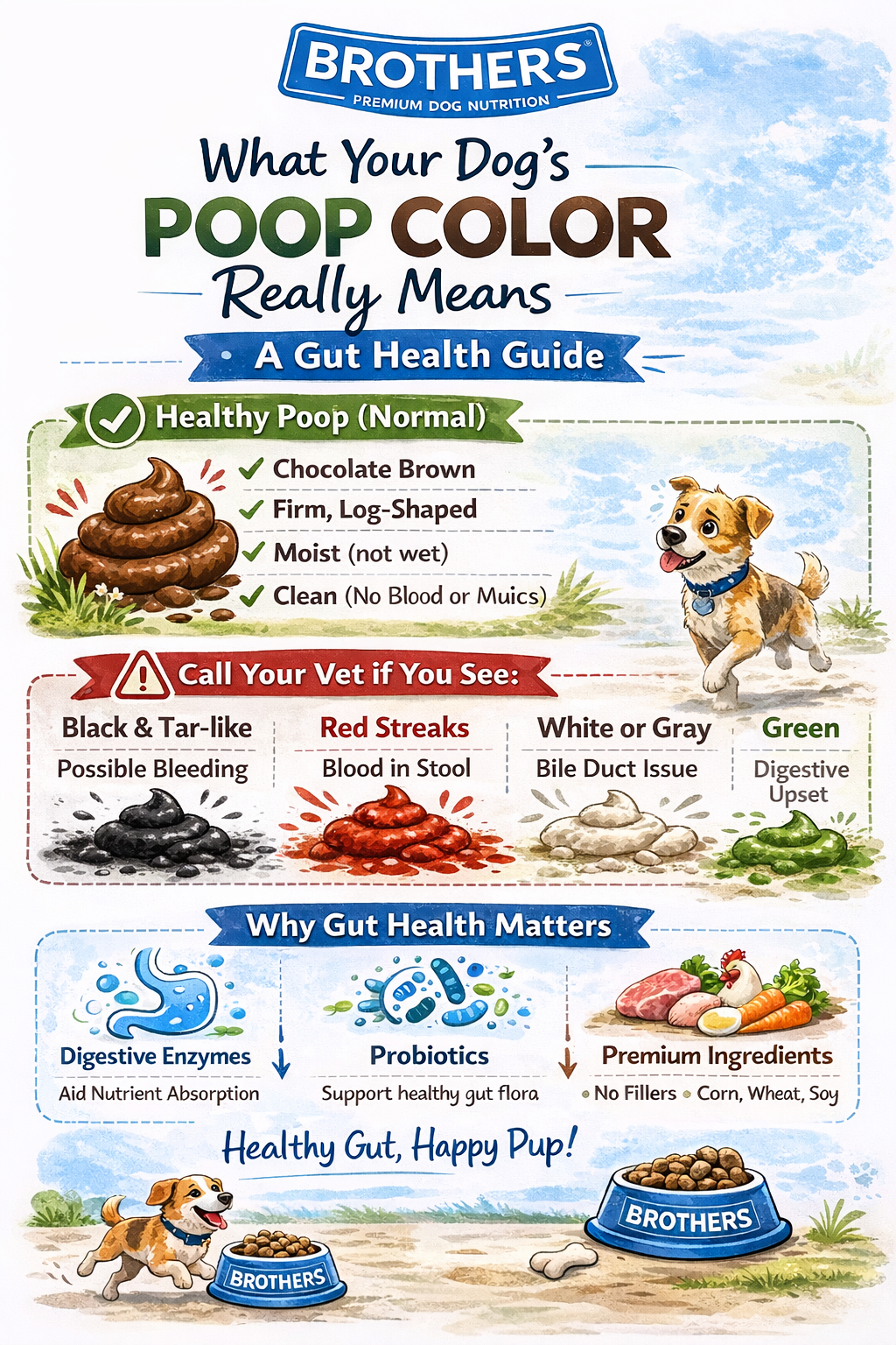 What Your Dog's Poop Color Really Means