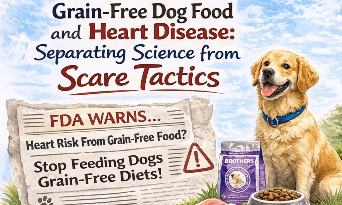 Grain-Free Dog Food Heart Disease: What Science Says | Brothers ...