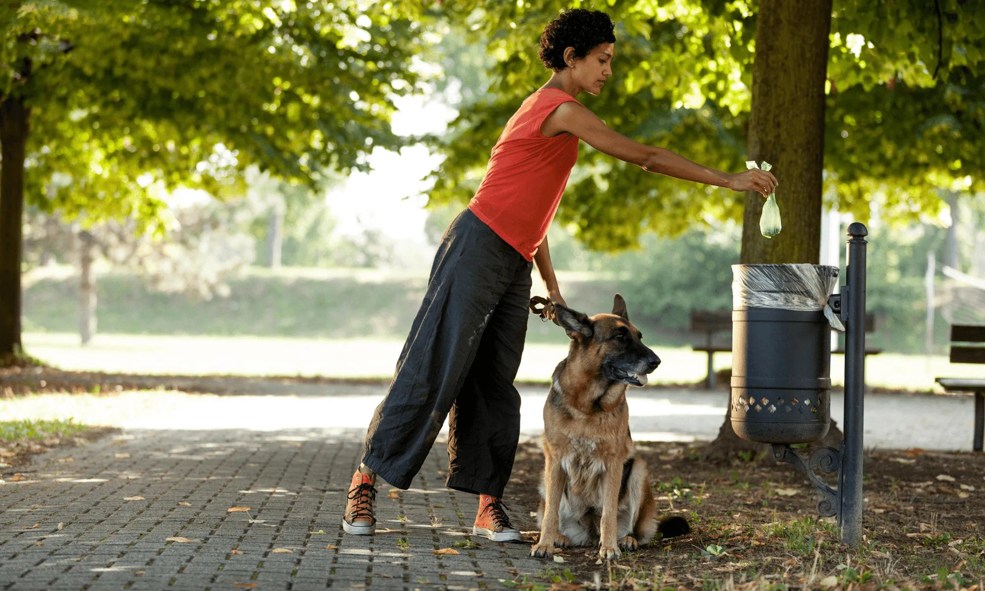 Best Food for Dogs with Sensitive Stomachs