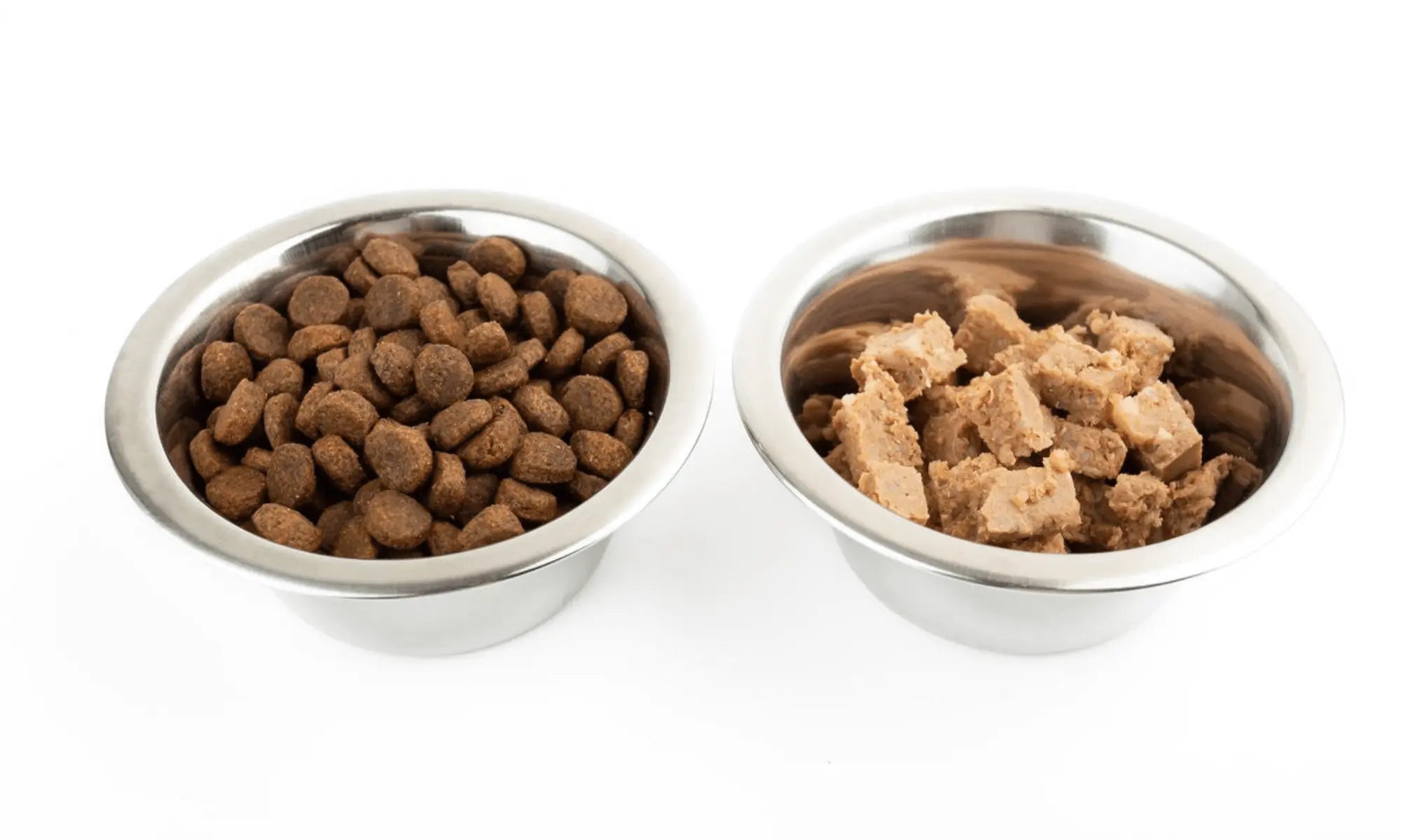 Why Some Dog Parents Prefer Dry Kibble: Convenience, Cost & Dental Health