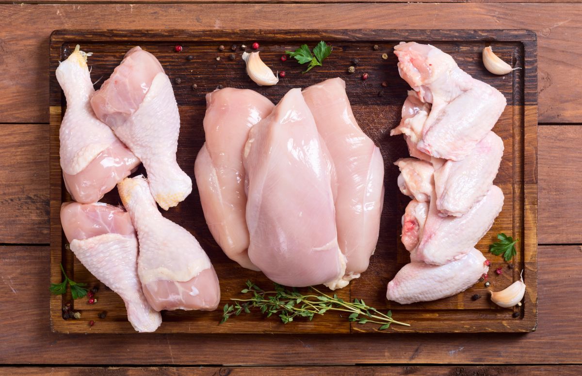 Chicken vs. Chicken Meal in Dog Food: What Pet Parents Need to Know