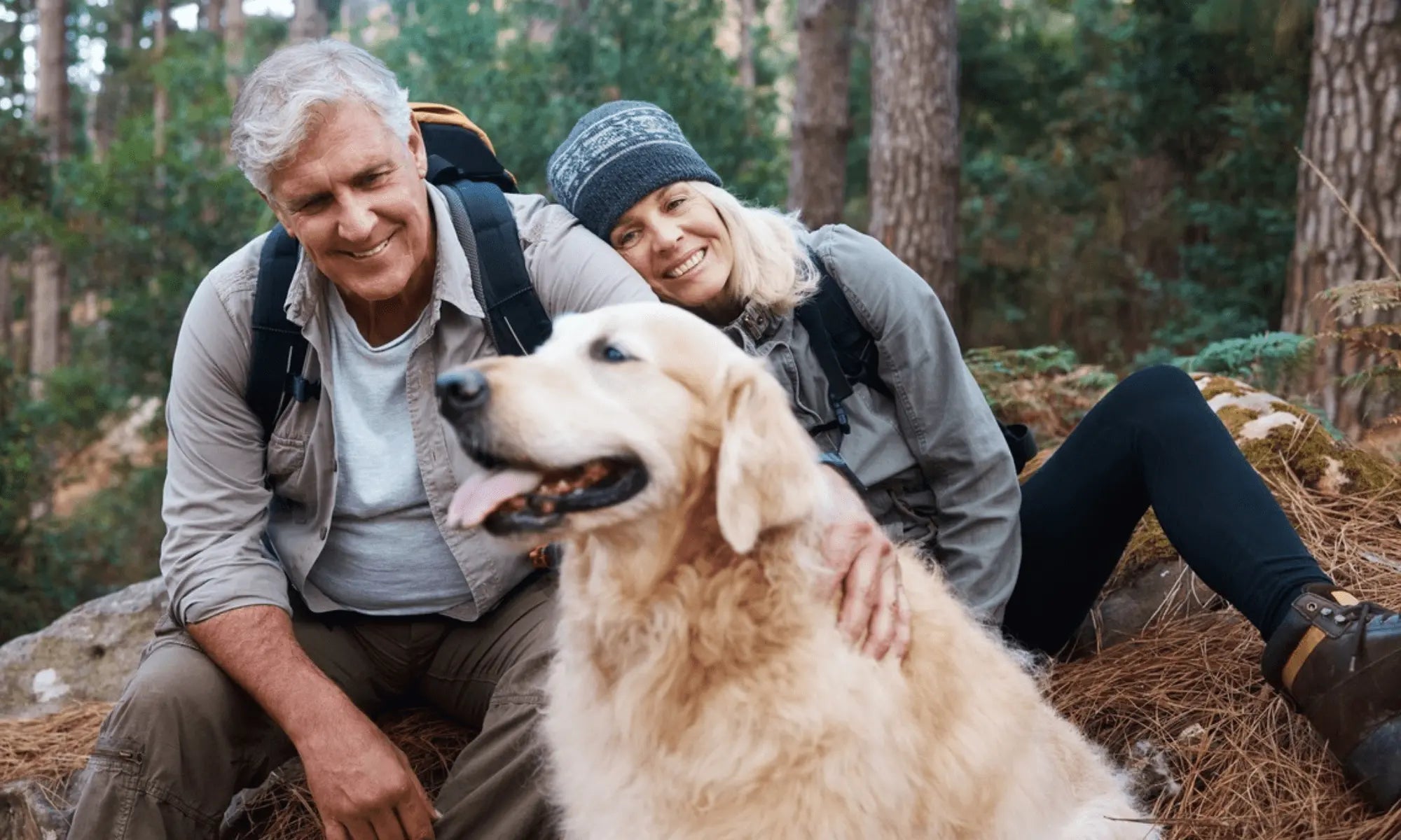 The Best Dog Food Ingredients for Longevity: How Gut Health Supports a Longer, Happier Life