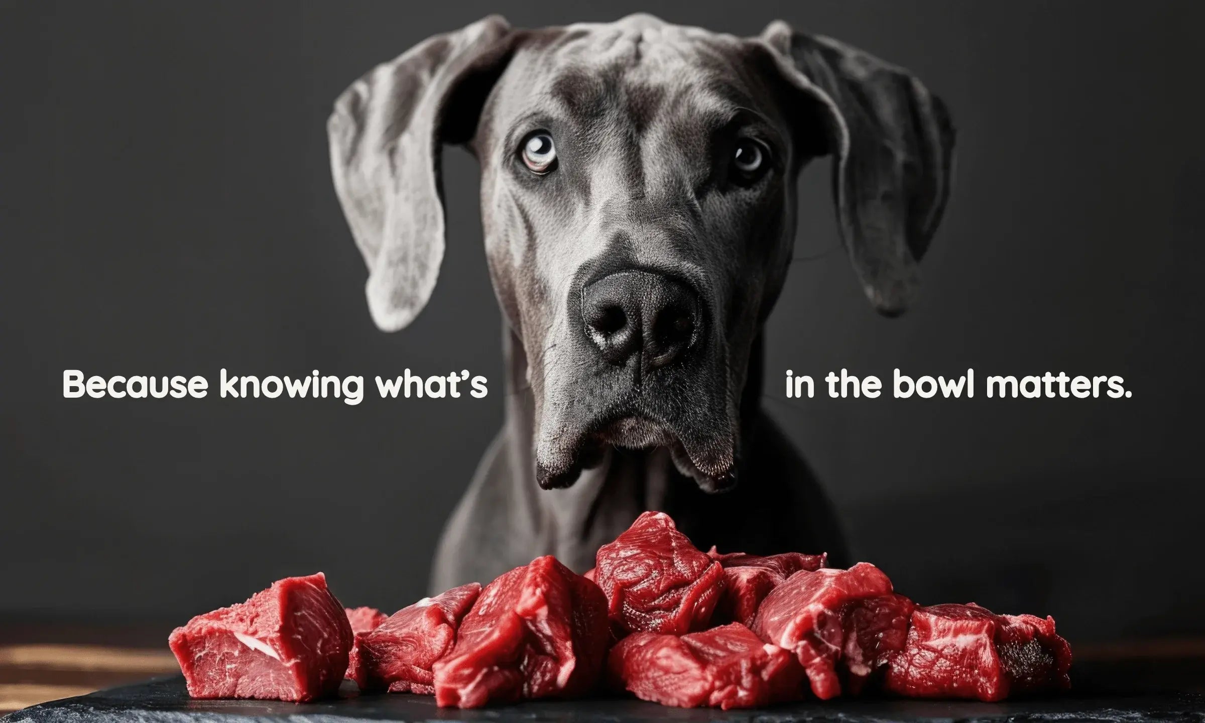 Because knowing what's in the bowl matters