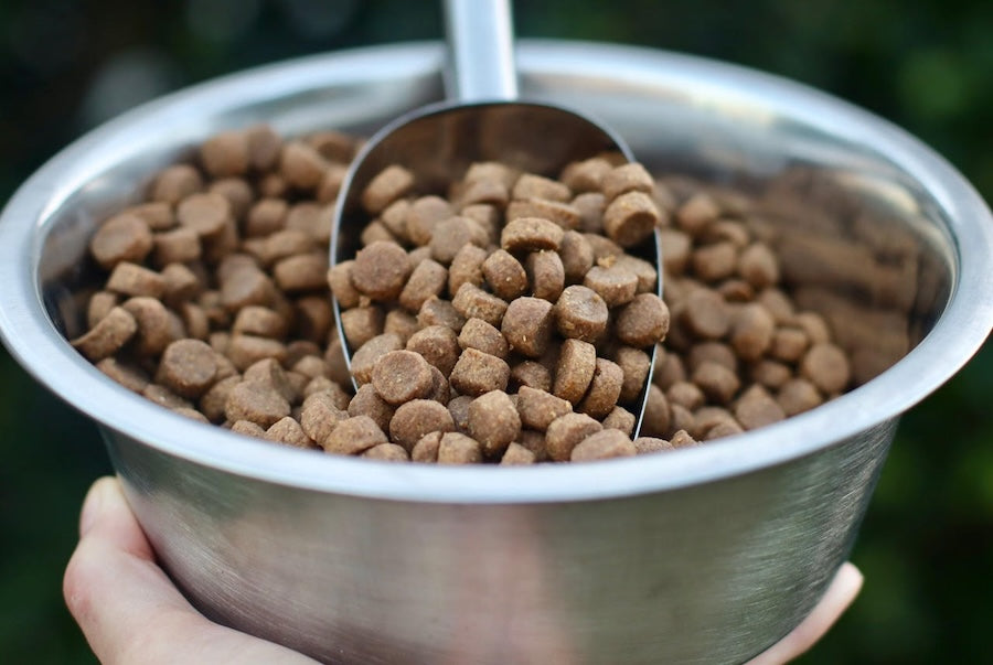 Metal bowl filled with brown pet food and a metal scoop.