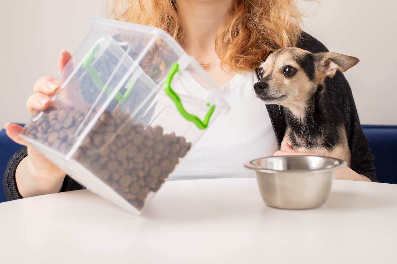 Person holding a container of dog food with a small Chihuahua sitting next to a metal bowl