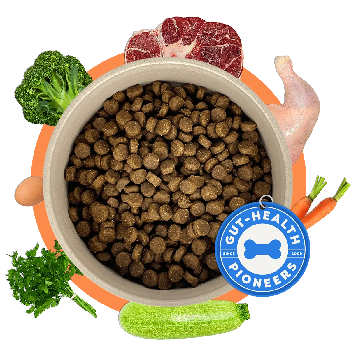 Dog food bowl with kibble, surrounded by fresh vegetables and a hand, with a 'Gut Health Pioneers' logo.