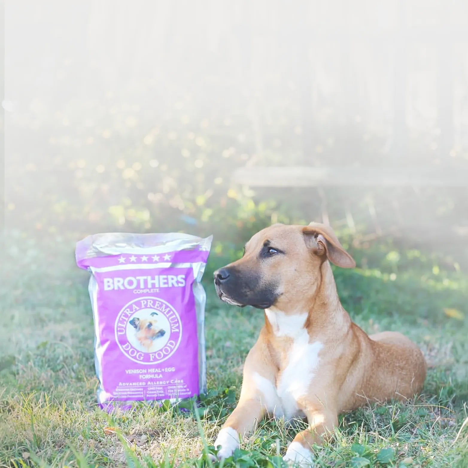Dog sitting next to a bag of Brothers dog food in a grassy field