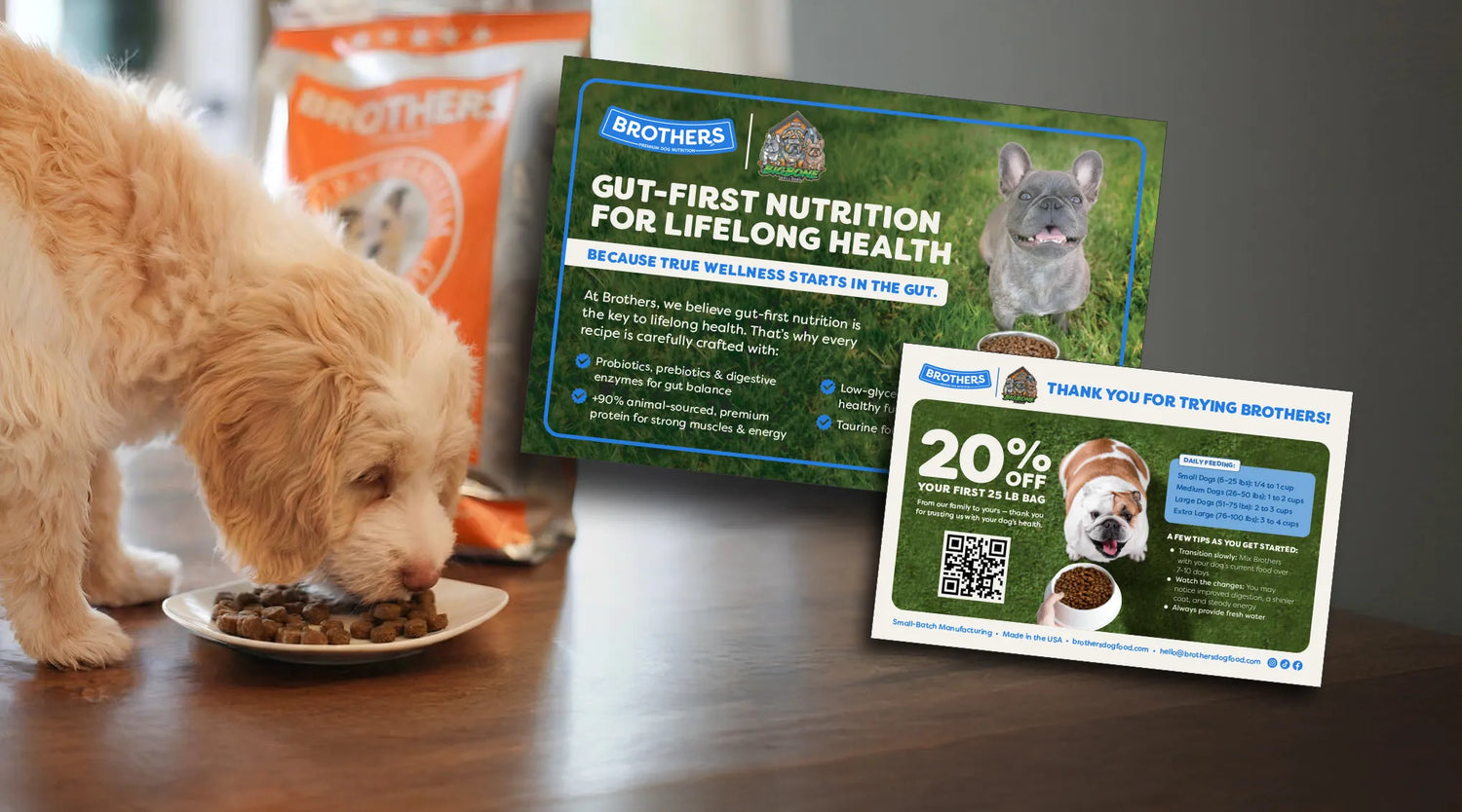 Dog eating from a plate with Brothers pet food packaging and promotional material in the background.