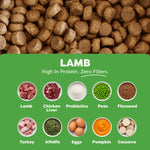 Dog food kibble with a green label detailing ingredients on a green background