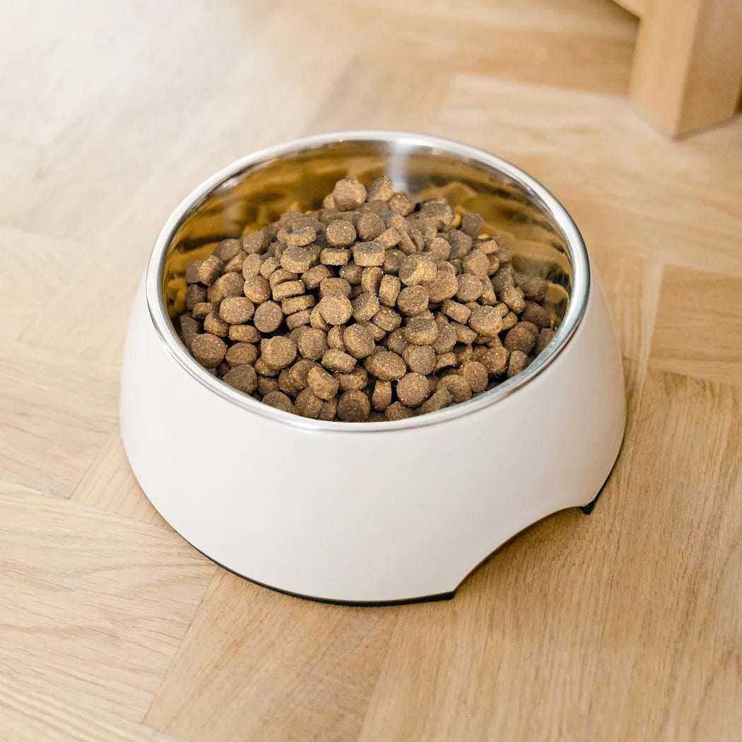White bowl with pet food on a wooden floor