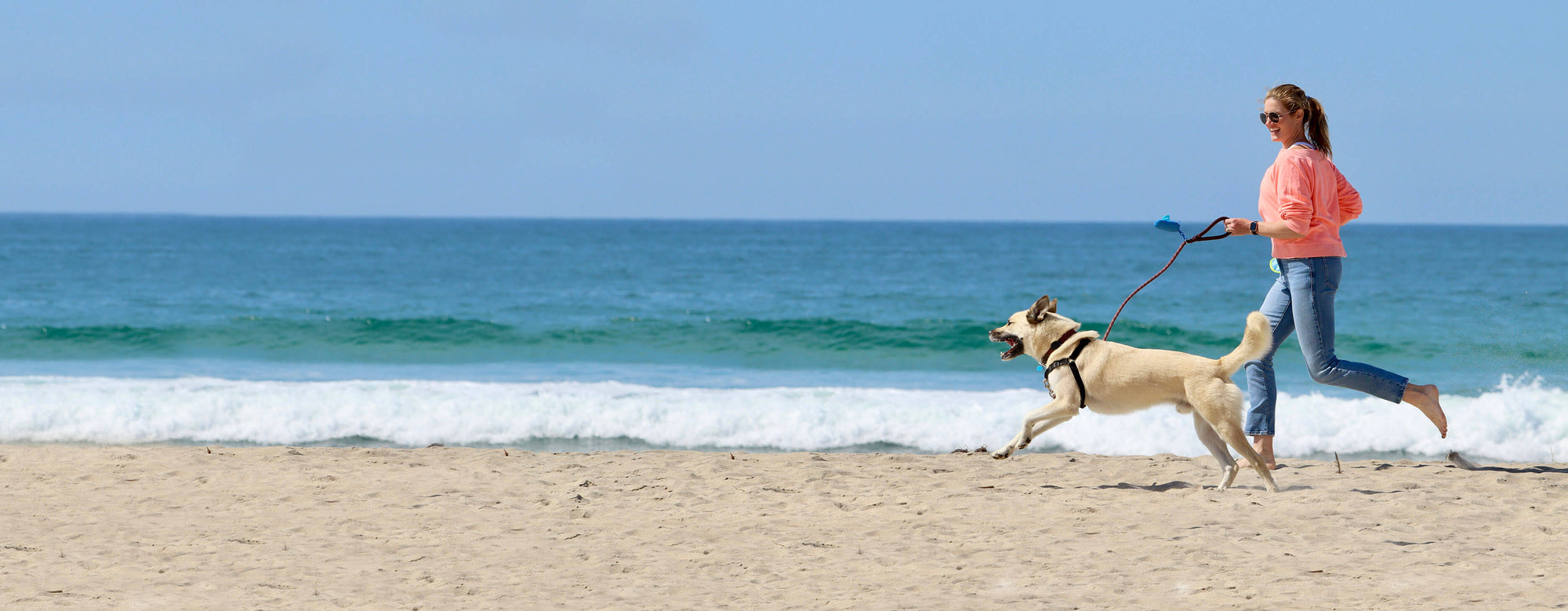 Woman walking a dog on a leash at the beach with clear blue sky and ocean.