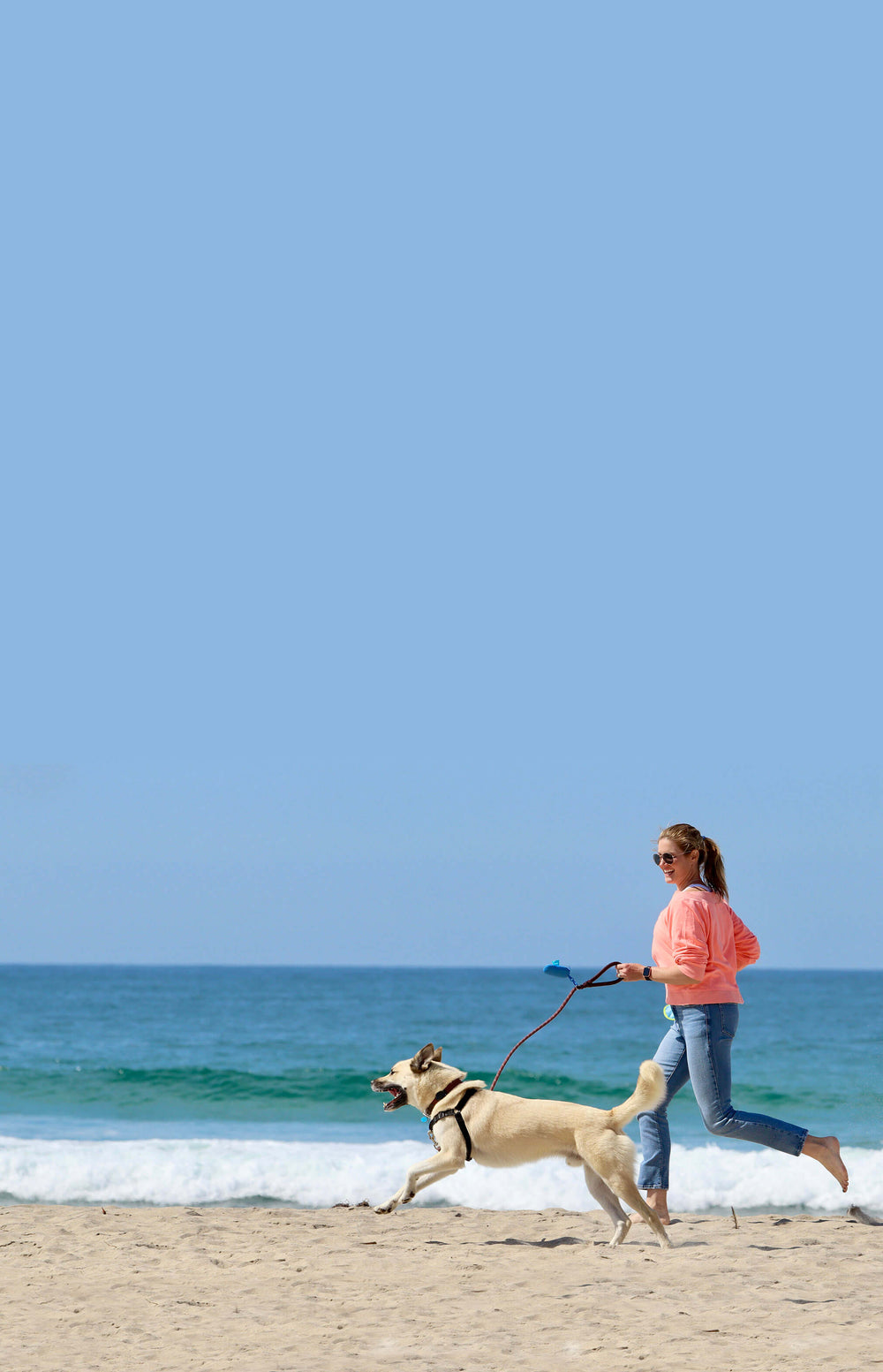 Woman walking a dog on a beach with clear blue sky and ocean.