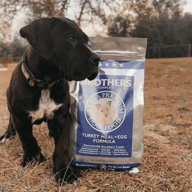 Black puppy standing next to a bag of Mother's Complete Ultra Premium Dog Food in an outdoor setting.
