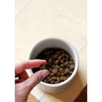Hand holding a small amount of pet food above a bowl filled with pet food on a light background