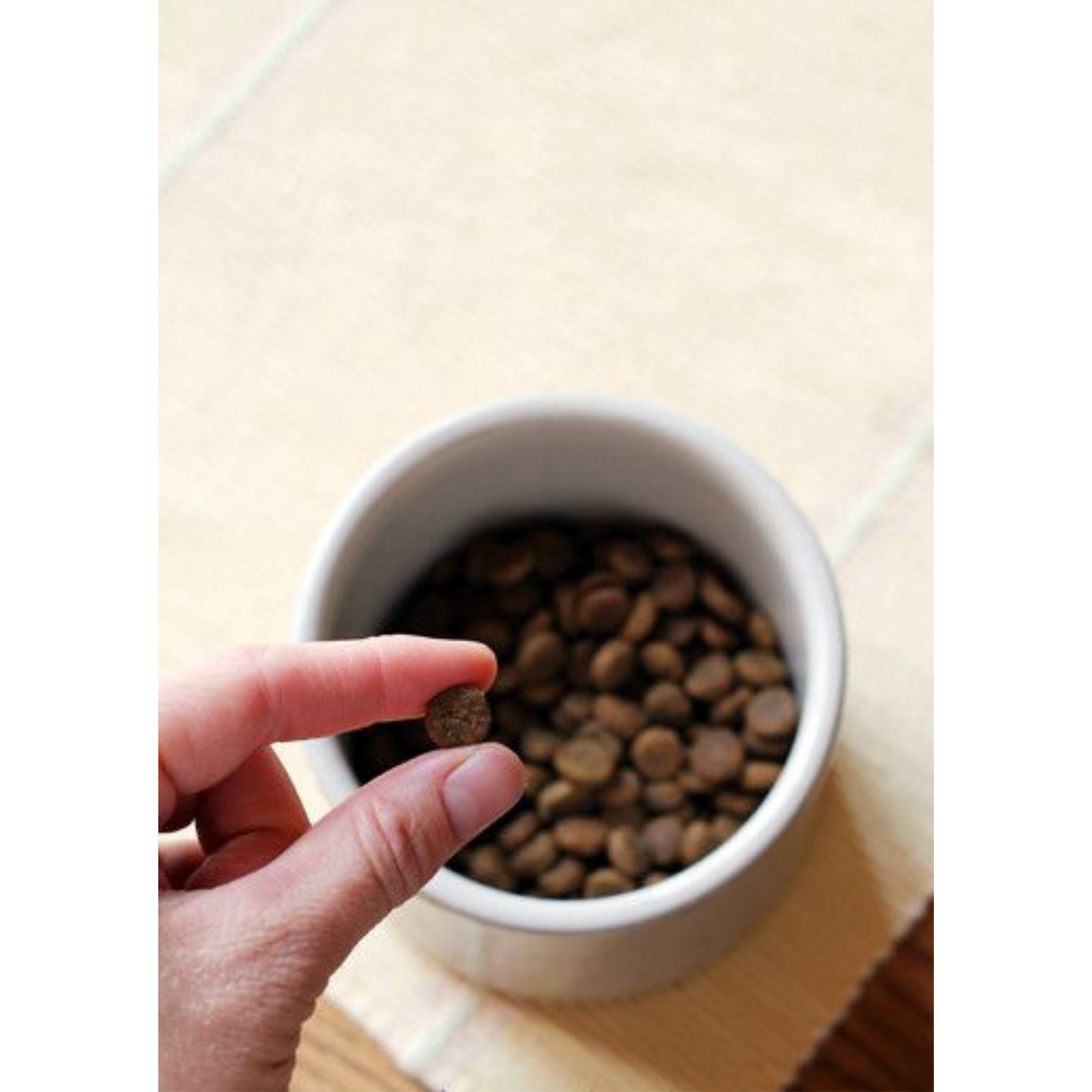 Hand holding a small amount of pet food above a bowl filled with pet food on a light background