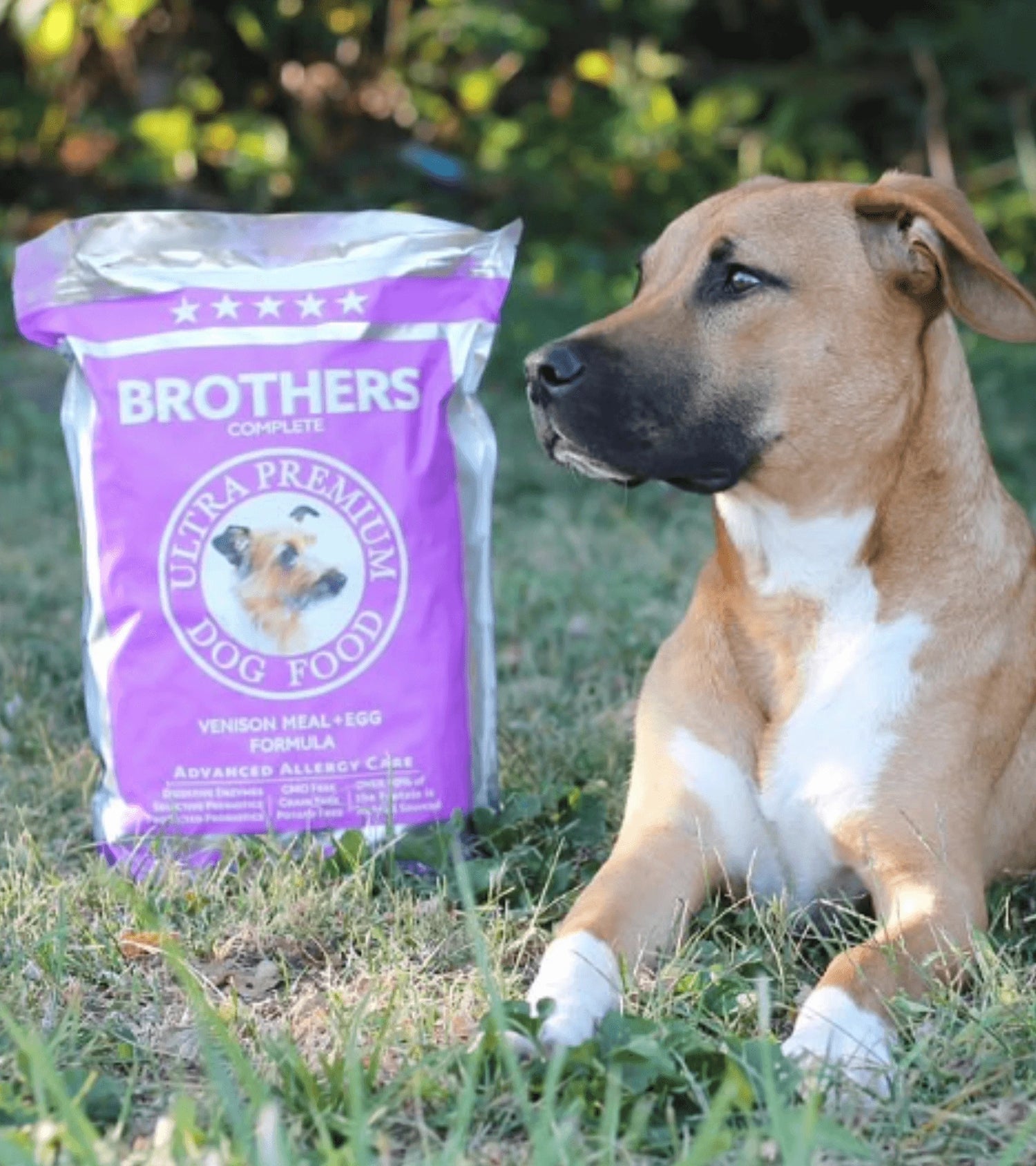 Dog sitting next to a bag of Brothers Complete Ultra Premium Dog Food in a grassy area.