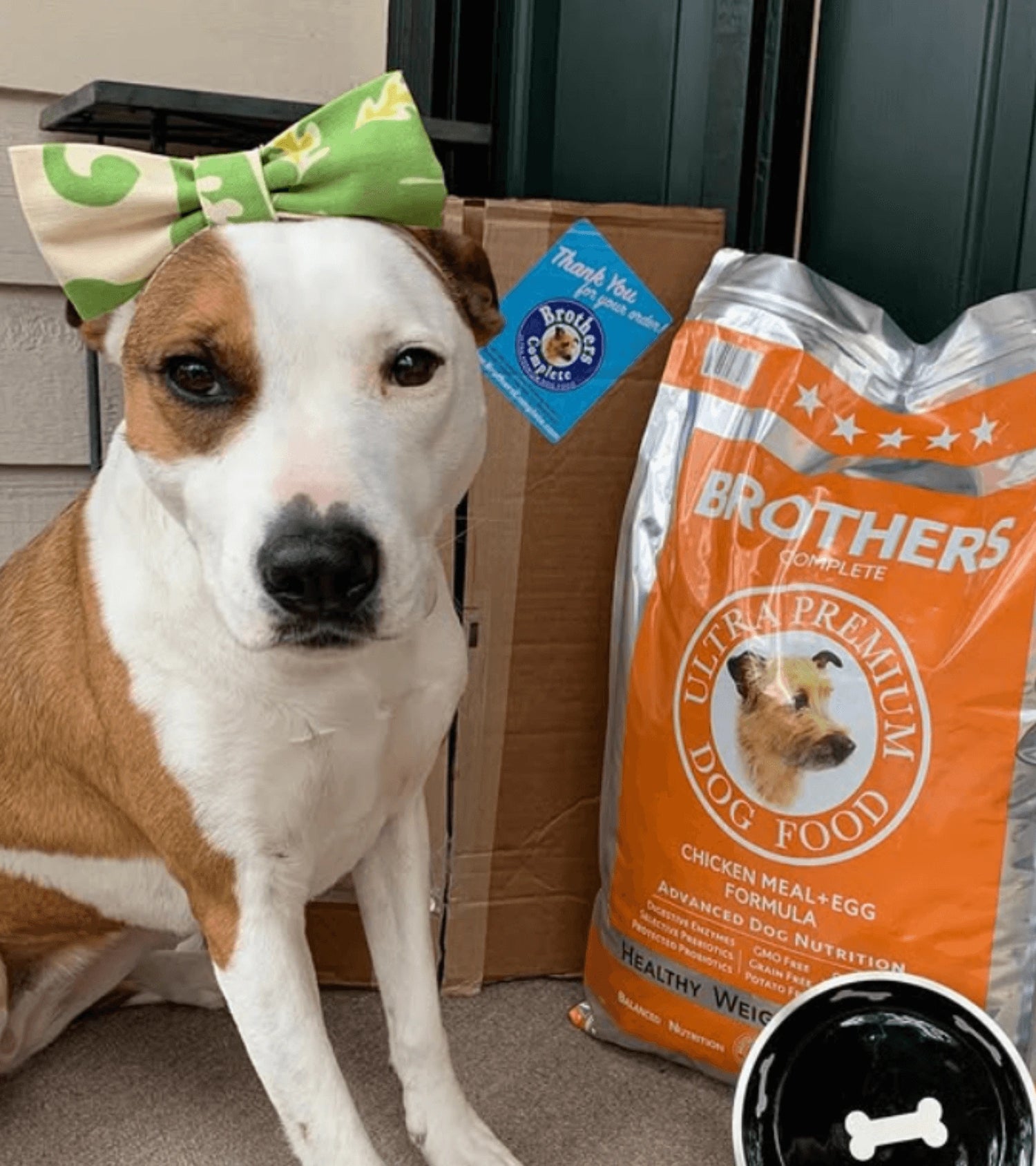 Dog wearing a green bow tie with a Brothers dog food bag in the background