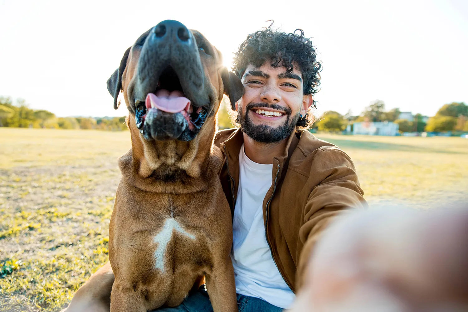 Man taking a selfie with a large brown dog in an open field