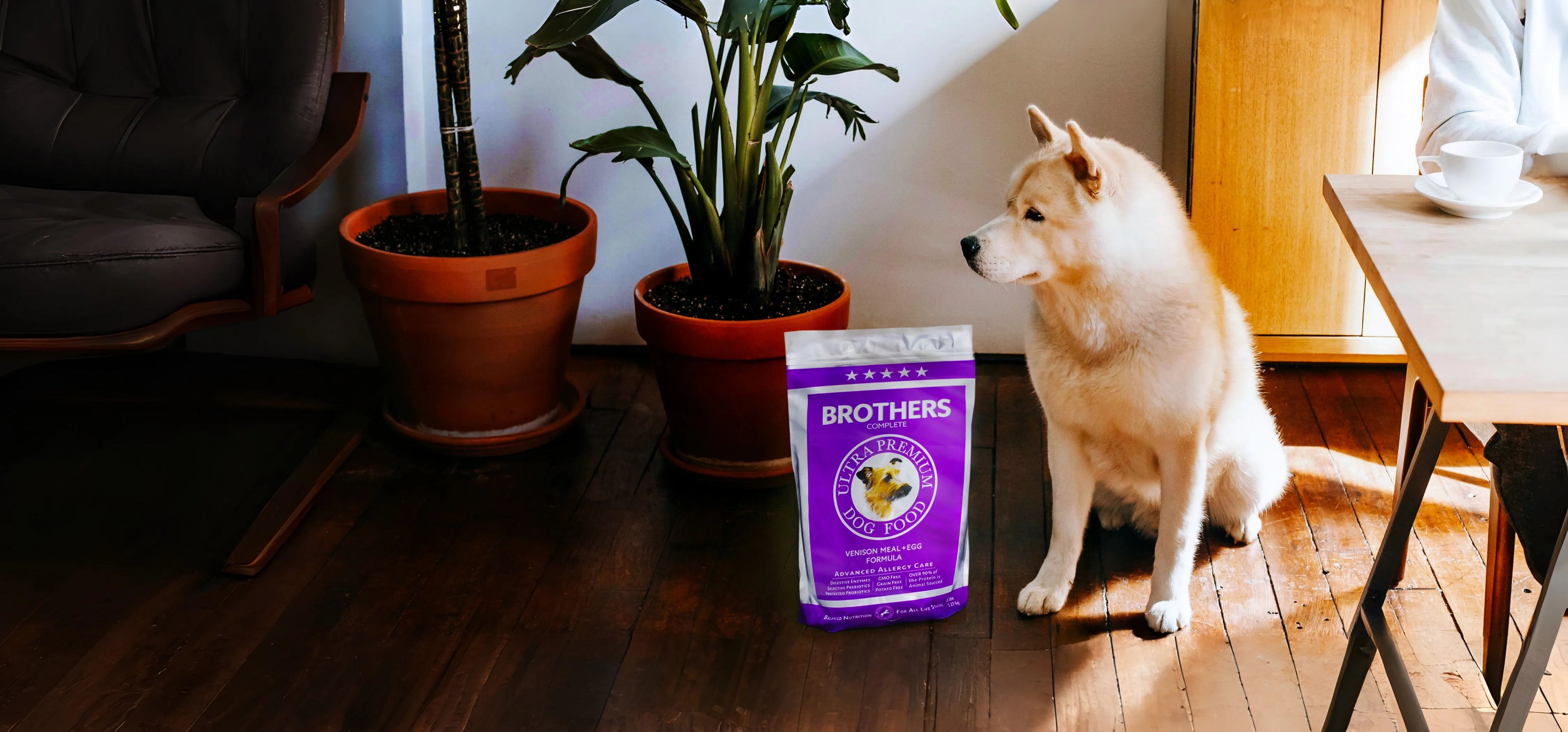 Dog sitting next to a bag of Brothers pet food in a home setting