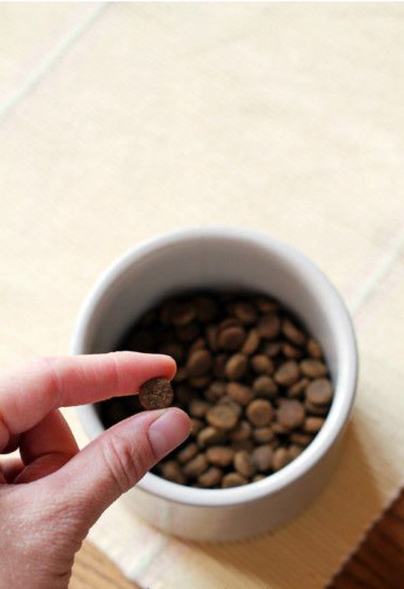 two finger tips holding a individual piece of Brothers kibble